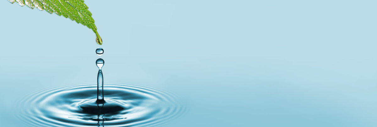 Gota - Renove | Hidroterapia del Colon | Colon Hydrotherapy